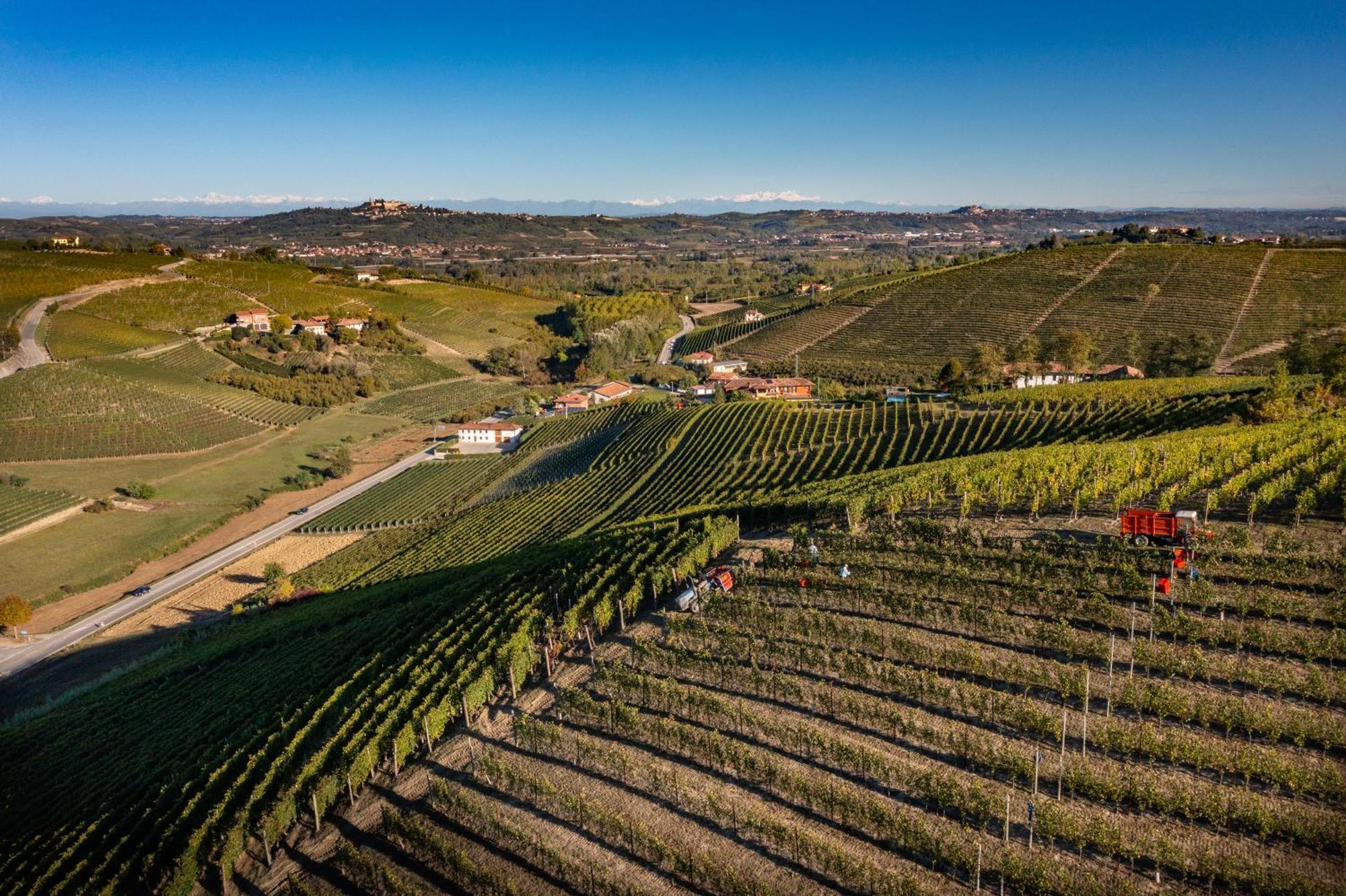 Agriturismo Antichi Poderi Gallina Neive Luaran gambar